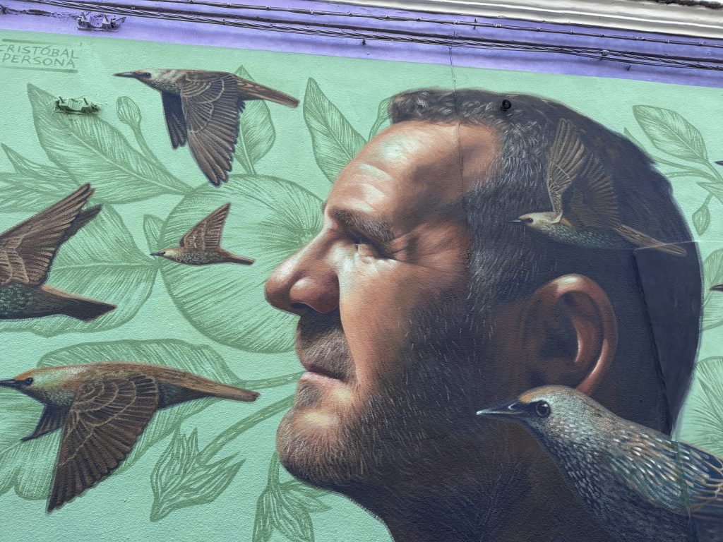 I murales di Stornara: un museo a cielo aperto in Puglia